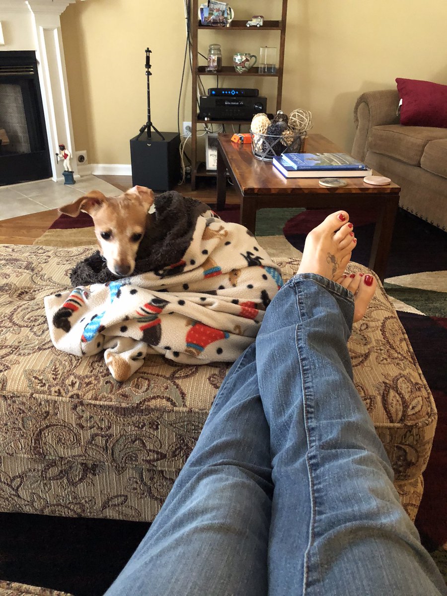 AlanBoyd5's tweet photo. @jonathanstettin Itβs tough being a dog. #gotitmade https://t.co/lAIgTCmZJH