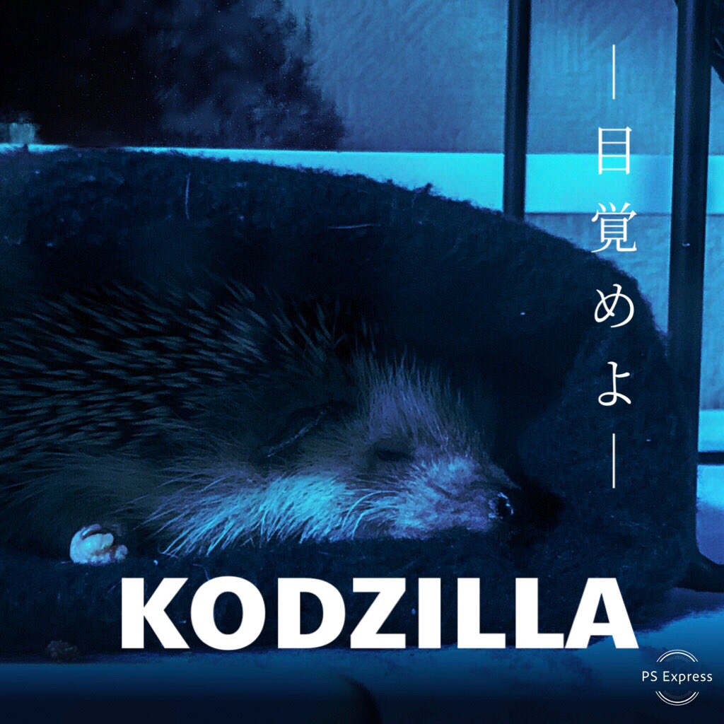 ゴジラキングオブモンスターズ Hotワード ゴジラキングオブモンスターズ Hotワード