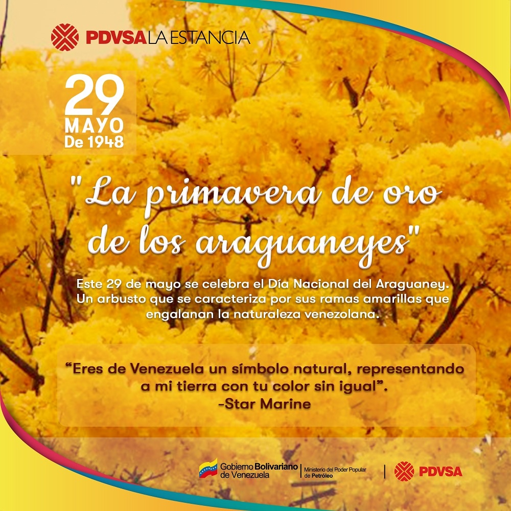 PDVSA La Estancia tweet media