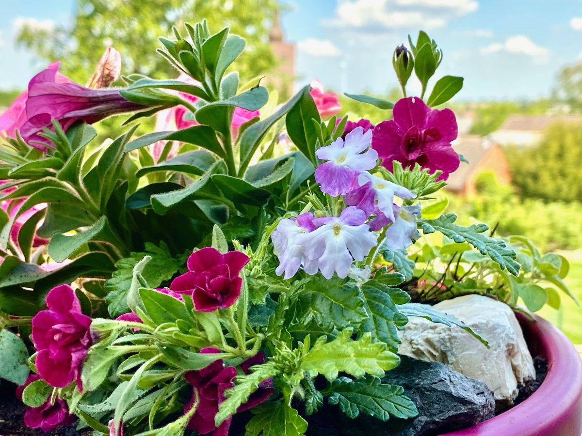 Das sonnige Wochenende hat in voller Pracht an die Tür geklopft, und der Sommer selbst schleicht sich auch langsam an. 

Wer noch ein paar Blumenkübel übrig hat, kann mit wenigen Handgriffen neue Frische auf den Balkon oder Terrasse bringen. 

Farbenfrohe Grüße