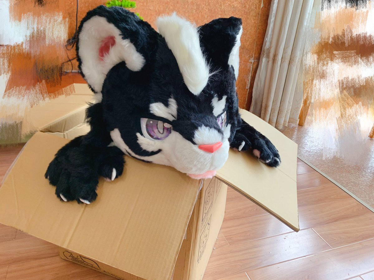 LigerRoxy tweet media