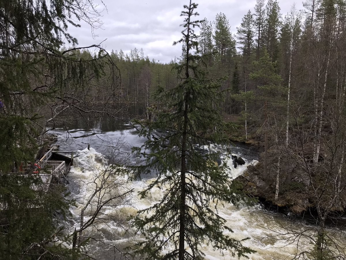 smalafrantti's tweet photo. Ihana #terapeuttinen #Kuusamon #pieni #karhunkierros.
Kiitos ystävät ja ihana luonto. https://t.co/KfZWVuSduE