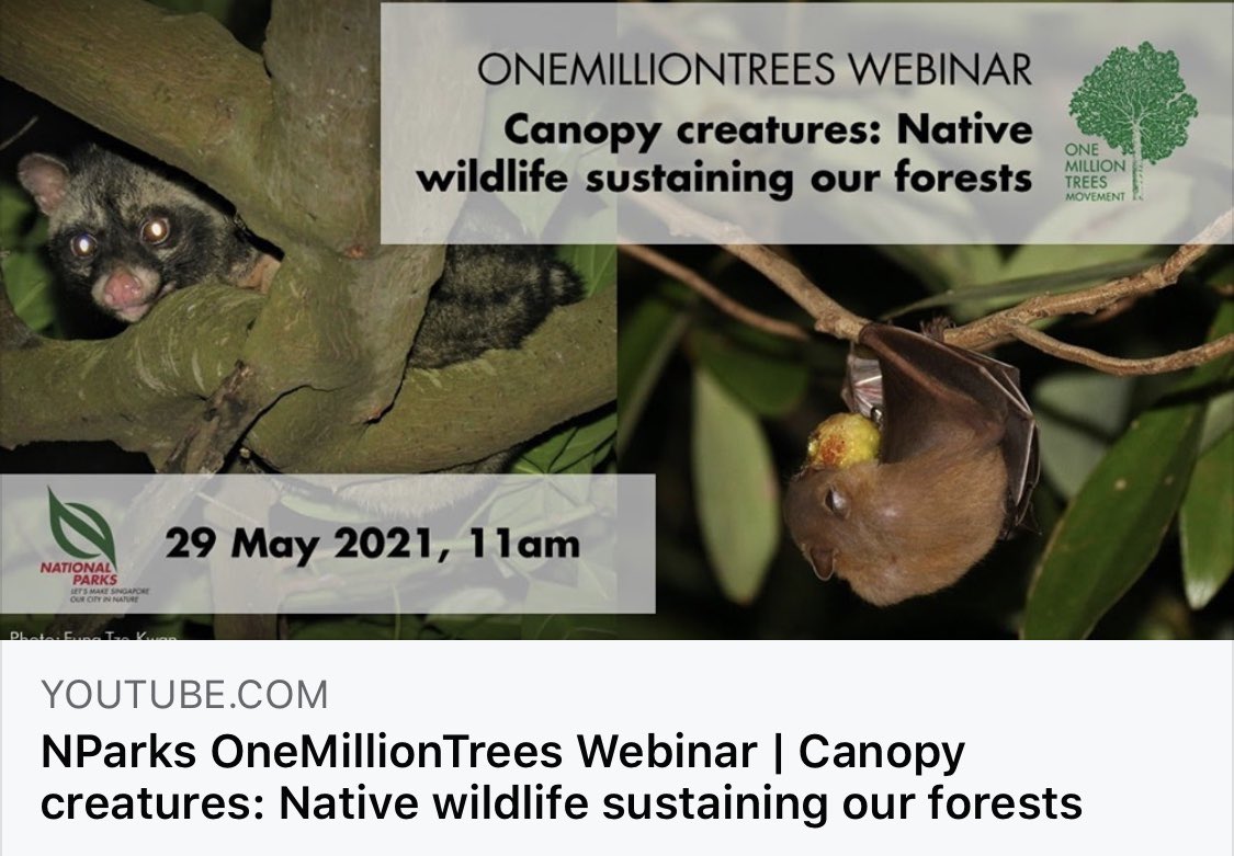 Fung Tze Kwan tweet media