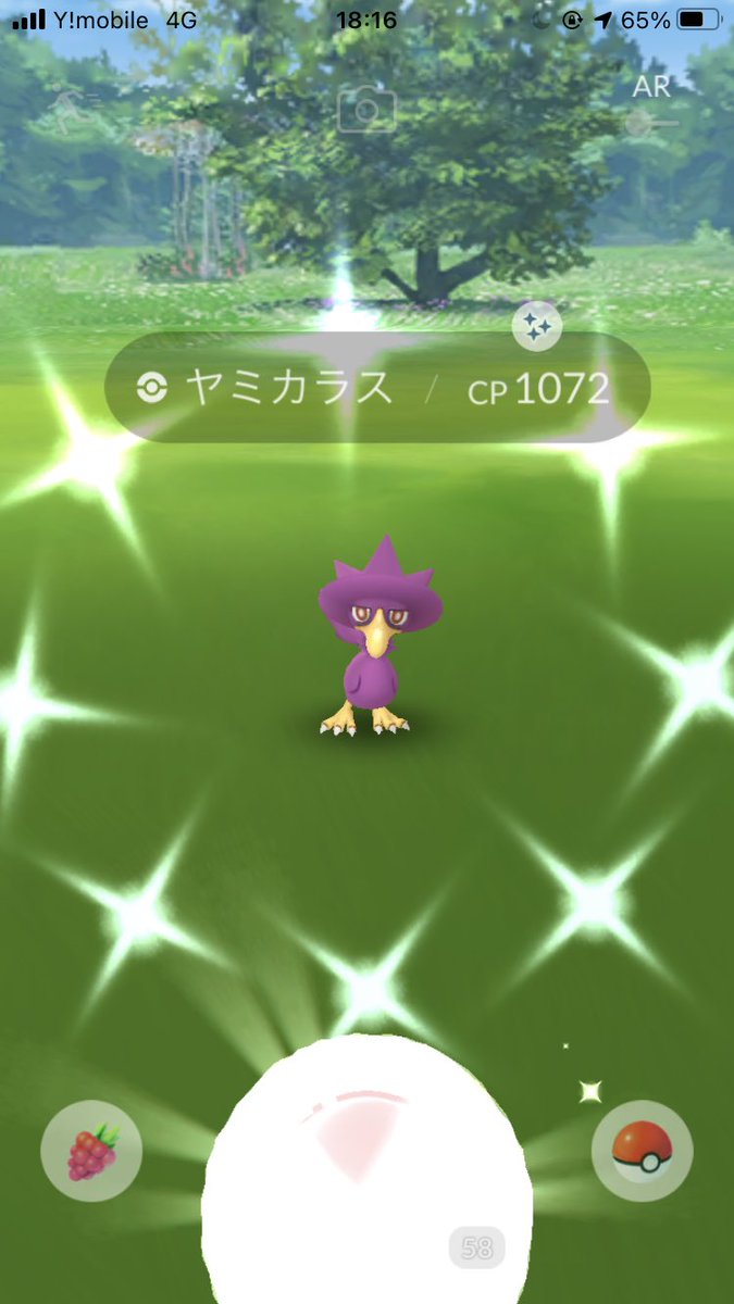 ポケモンgo ヤミカラスの色違い 入手方法と実装状況 攻略大百科 ポケモンgo ヤミカラスの色違い 入手方法と実装状況 攻略大百科