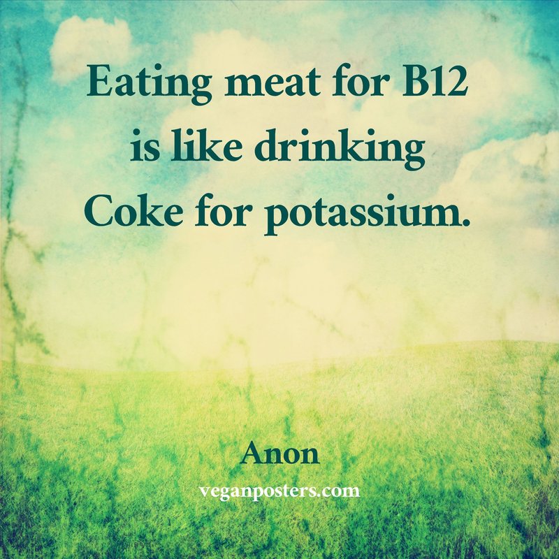veganposters's tweet photo. Eating meat for B12 is like drinking Coke for potassium. - Anon #vegan https://t.co/a5T6ApEP7l