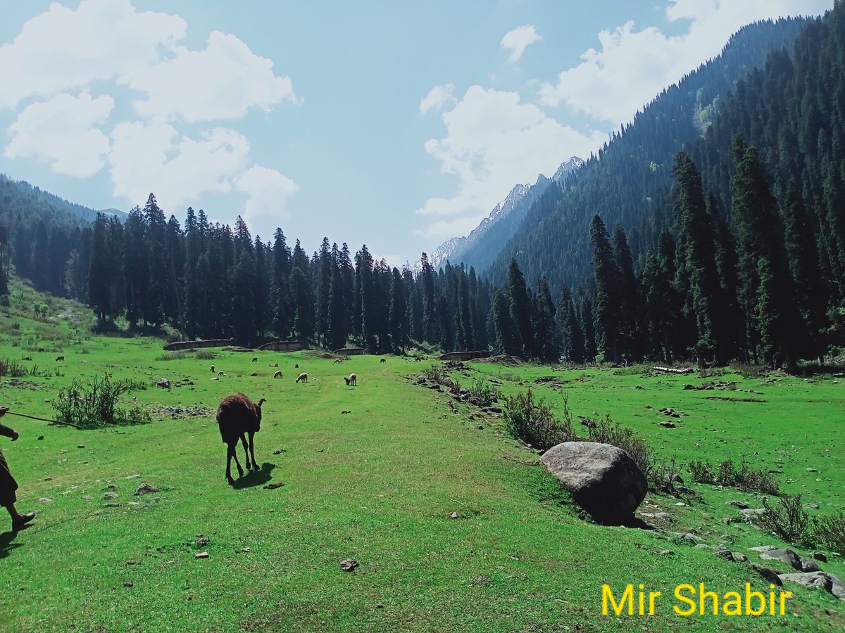 MirShabir555's tweet photo. #MaatarMaidan
#Daksum
#uphills
#pastureland
#Exploringthenature
#placeworthvisit https://t.co/azqH7oGLBM