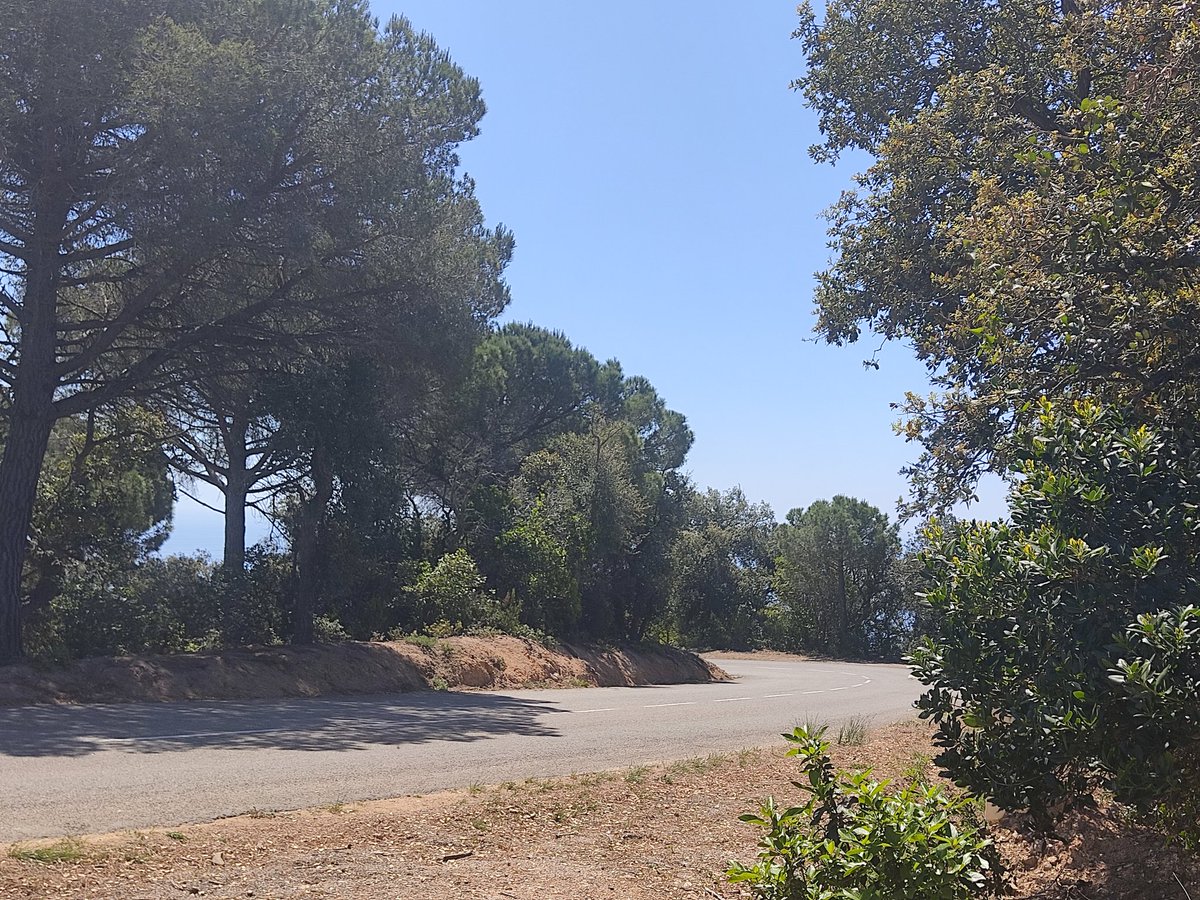 Bon dia des del #rallyemporda! ☀️

Ja ho tenim tot a punt per començar el tram de Sant Grau.