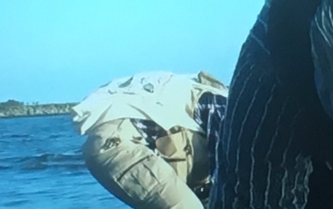 じゅん散歩のtwitterイラスト検索結果