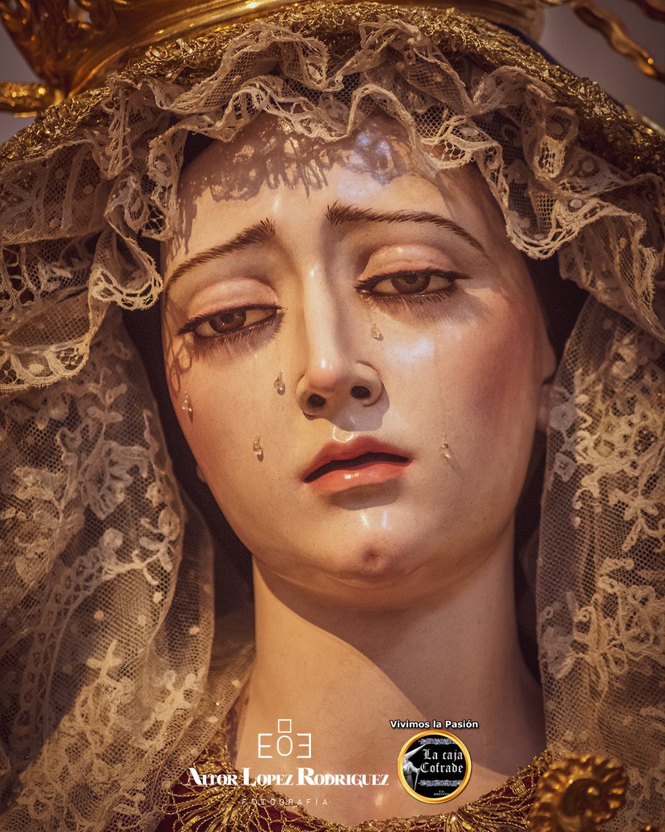 🟣369 DÍAS/369 FOTOGRAFÍAS // 📸 Día 49/369
🙏María Santísima del Rosario en sus Misterios Dolorosos
📿 Cofradía de los "Estudiantes"
👉 Fotógrafo oficial de #LaCajaCofrade.
#VivimosLaPasion.