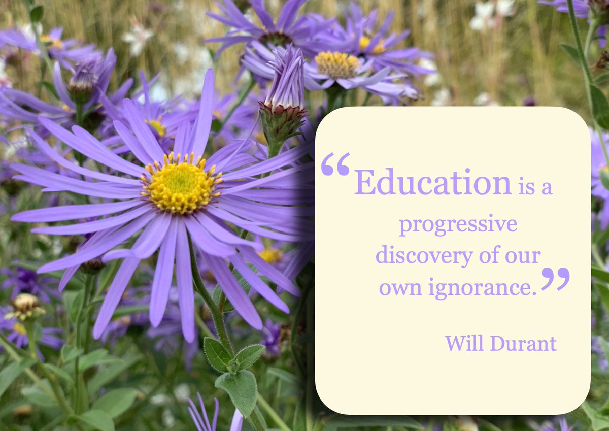 "Education is a progressive discovery of our own ignorance."

Will Durant
#education #tech #learning