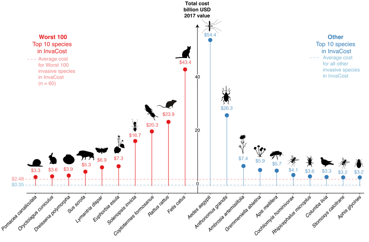 ross_cuthbert's tweet photo. How expensive are the "100 of the worst" invasive species? More than the rest?
Find out in our new paper, out today in @BioInvasions with @ChrisDiagne @franckcourchamp @PJHaubrock @ajturbelin
https://t.co/zBIT5OZL0p
#InvaCost #invasivespecies #economic https://t.co/Z07w1VSm4I