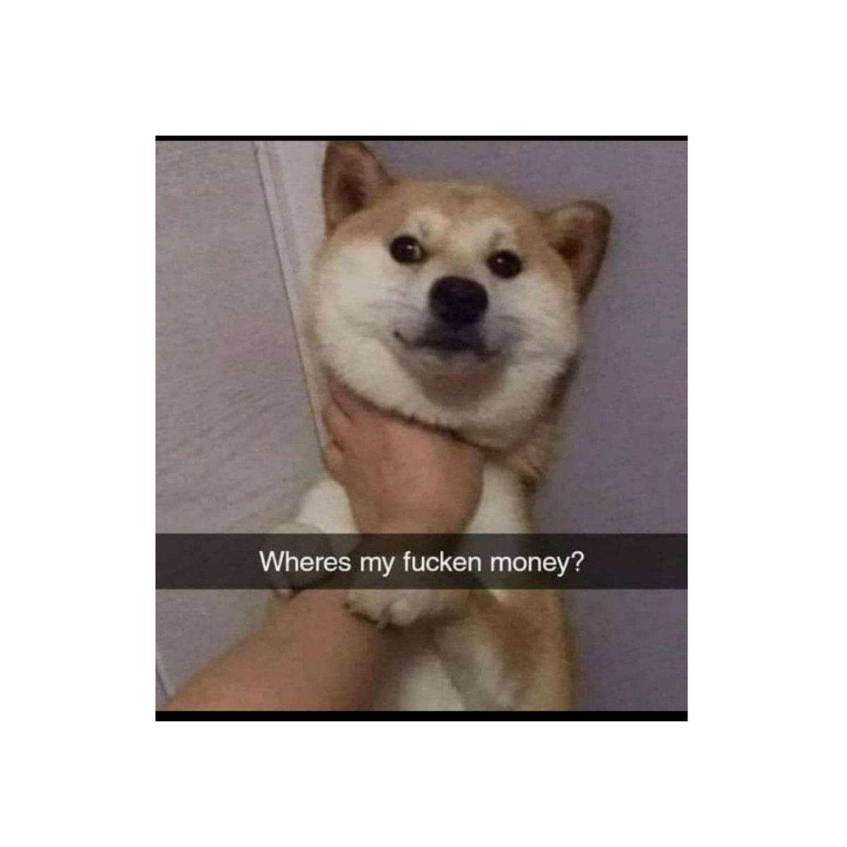 Premend27368197's tweet photo. The 'dip'
.
.
#DOGE #cryptocrash https://t.co/QiAFeDVUl2