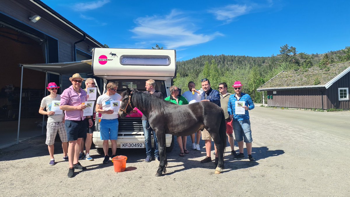 simengjelstad's tweet photo. Når @esbakka kommer kjørende til Gautefall med åringen Milo er andelslaget utsolgt før hesten er av bilen. Kjempeopplegg til inspirasjon for andre som vil selge hest 👍 Auksjon med hundre andre dyr er ikke nødvendigvis tingen. https://t.co/yzIozNGZh4