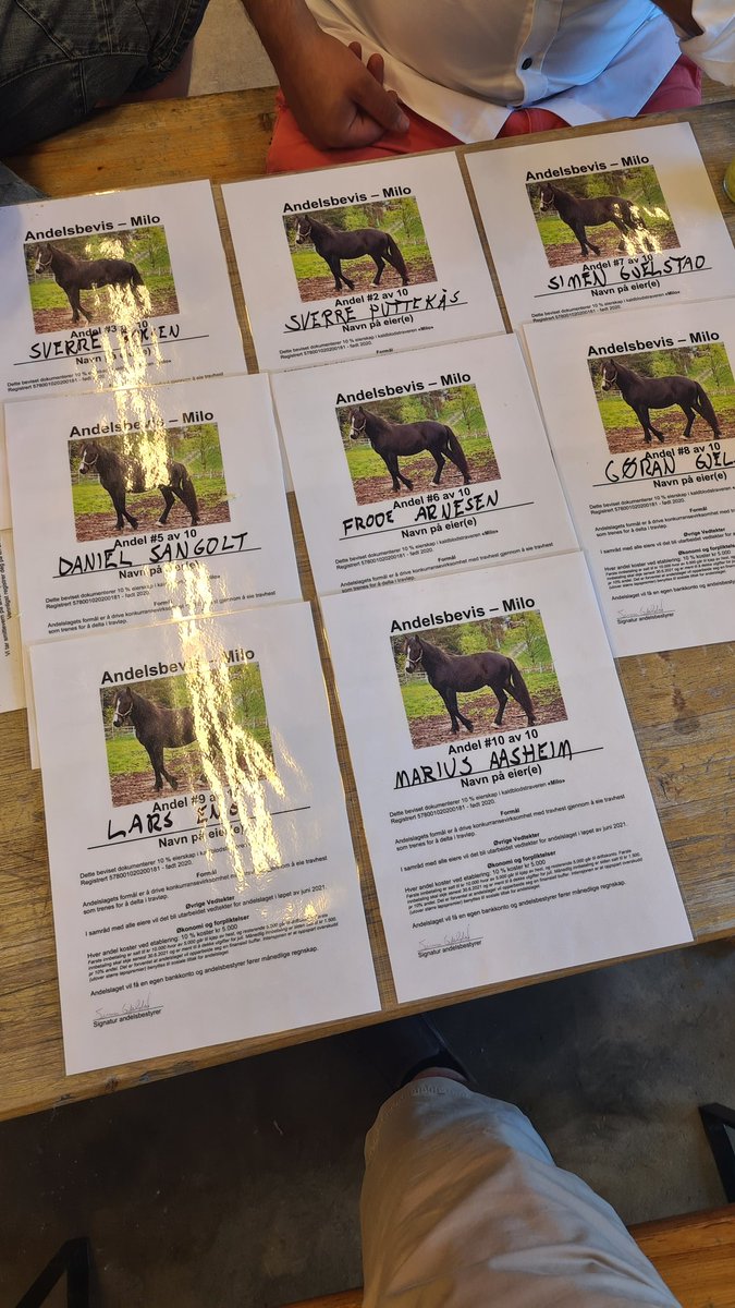simengjelstad's tweet photo. Når @esbakka kommer kjørende til Gautefall med åringen Milo er andelslaget utsolgt før hesten er av bilen. Kjempeopplegg til inspirasjon for andre som vil selge hest 👍 Auksjon med hundre andre dyr er ikke nødvendigvis tingen. https://t.co/yzIozNGZh4
