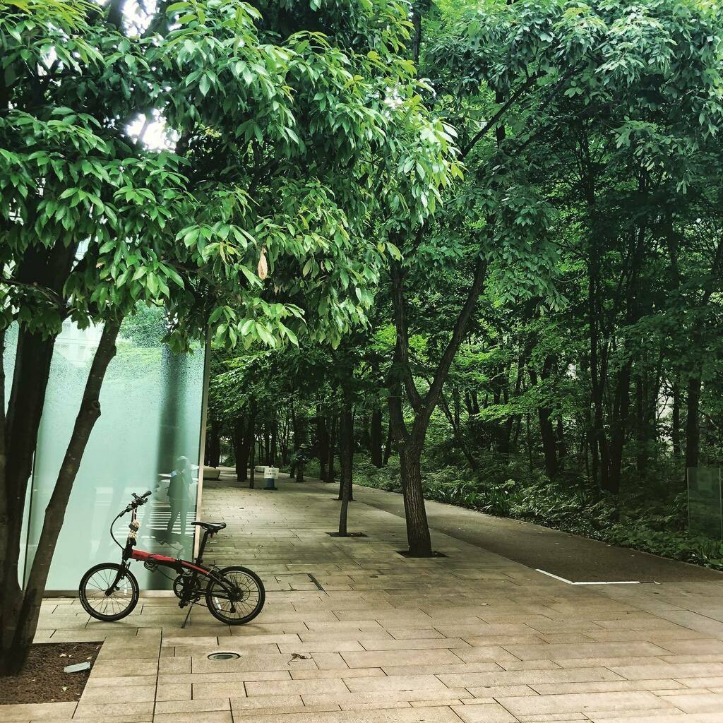 JapanWalking's tweet photo. Urban forest in the middle of Marunouchi business district in Tokyo. #urbanphotography #urbanforest #urbangreen #urbangarden #tokyo https://t.co/UVPpqsLqBQ https://t.co/mBri6CR5lm