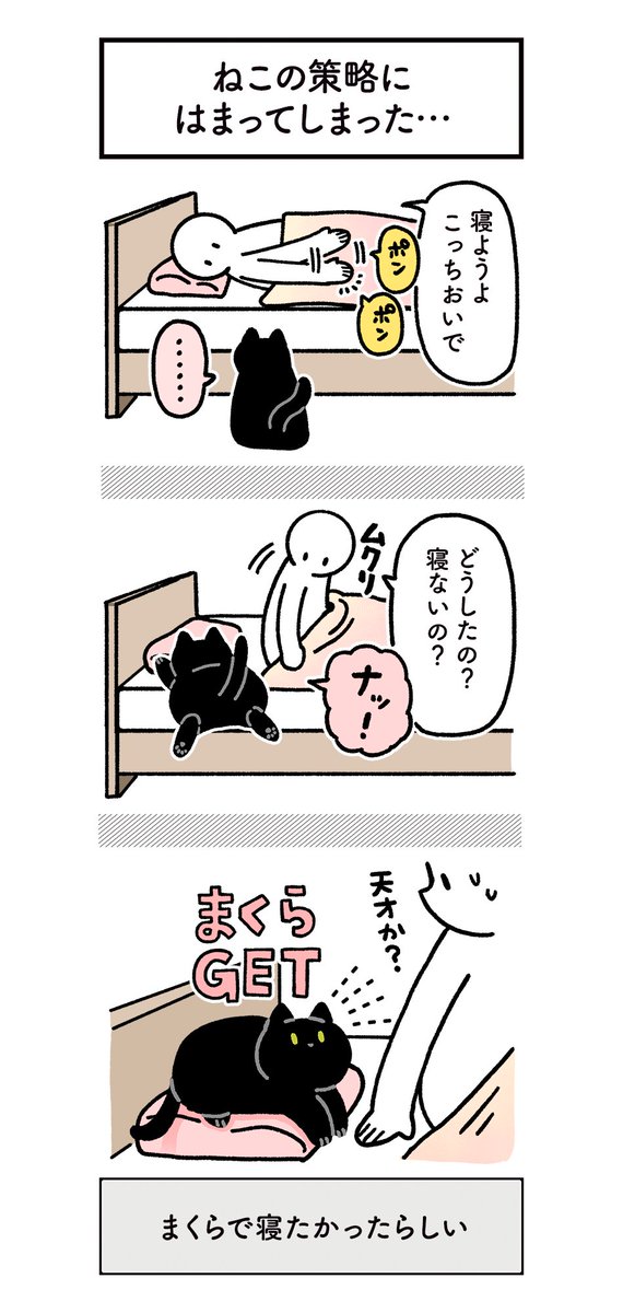 ねこの策略にまんまとひっかかって枕を奪われている絵日記 #ろんの絵日記 