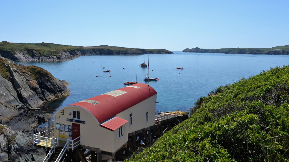 Always good to do what our guests get to do when they visit this gorgeous part of the world.  Wildlife spotting off Ramsey with Aquaphobia - our recommended boat trip company. #pembrokeshire #LoveSolva #LovePembs #SelfCateringAccommodation #solva #seals #porpoise #dolphins