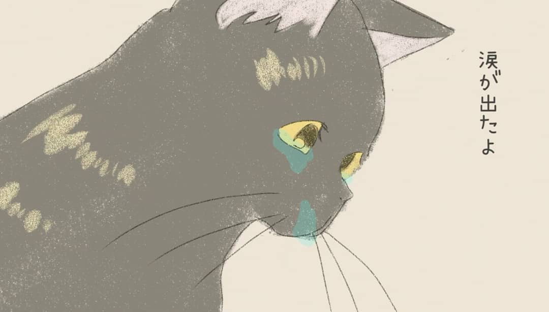 HasidumeMomo's tweet photo. «もっと届いて欲しい!»

【『猫です』MV公開!!】
https://t.co/O2ZoA6QsMJ

人間の男の子が
猫に生まれ変わった物語
絵本のような温かいMV´｀
ぜひ覗いてみてください！

橋爪もも「猫です」
夏にはEPも発売！
⇒https://t.co/IGEB8fSKq6

ふと思ったけど
前作とのギャップ凄い>_<` https://t.co/Zbh2EUM0g8