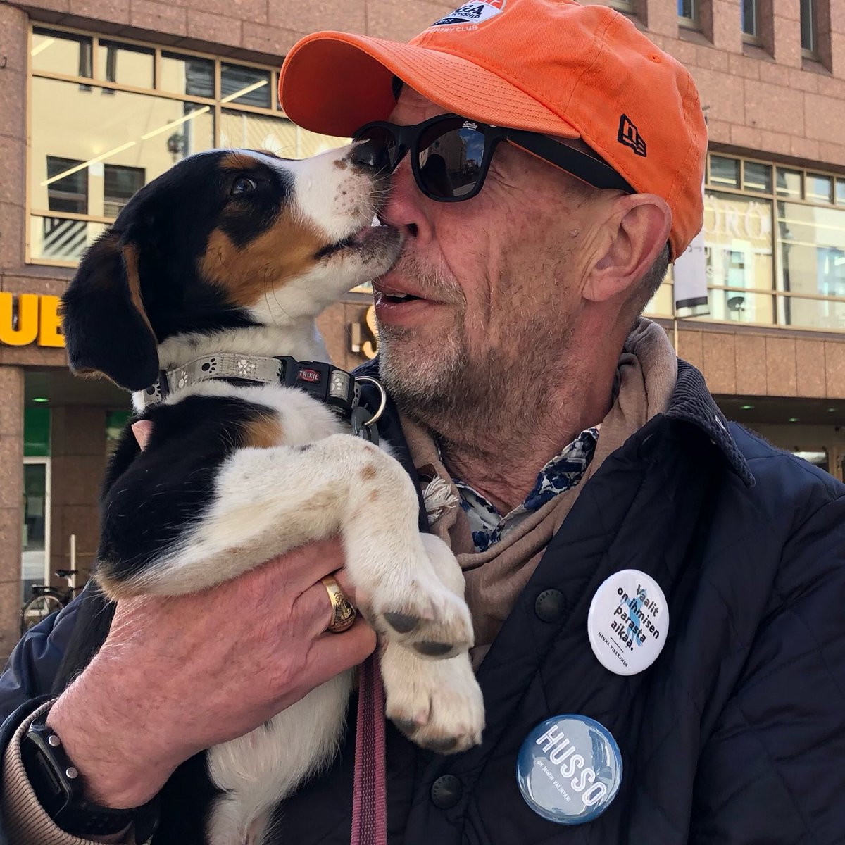 HussoJarmo's tweet photo. Pentukuiskaaja sai vaalikiertueella nenilleen! 10- viikkoinen Hugo järsi nokkaani neulahampailla. #kuntavaalit2021 #kokoomus #pentukuiskaaja #narks https://t.co/aPH4tnQ83s
