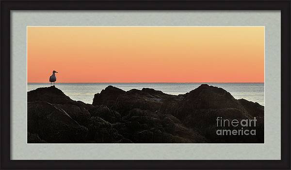 Some days I can relate! maurice-hebert.pixels.com/featured/waiti… #Ocean #Sea #Sky #Gull #Sunrise #Morning #Dawn #Waiting #PhotoArt #photography #photo #Fineart #FinePrints #fineartforsale #BeachLife #Beach #Gull #Seagull #Alone #Coastal #Maine #NewEngland #CottageArt #BeachArt #HomeArt #HomeDecor