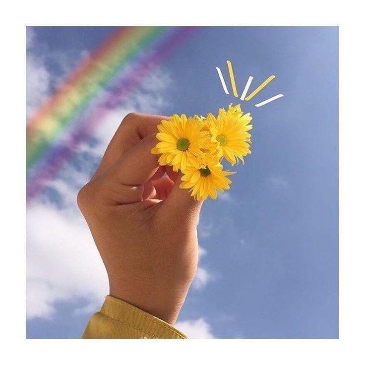 Paulo97813048's tweet photo. #Biblia🌈👏🙌🌻💕🔠🌎
#TestemunhoDeJesus #EspiritoSanto #VidaEterna #Girassóis #gratidão #Groselhas #Cura #Saúde #JesusSaves #PeaceAndLove #VooDaVida "Chegou Jesus, e pôs-se no meio, e disse-lhes: Paz seja convosco.(Jo20,19)#AsasQueProtegem #Lord #LoveMore https://t.co/j2gxulZKWD