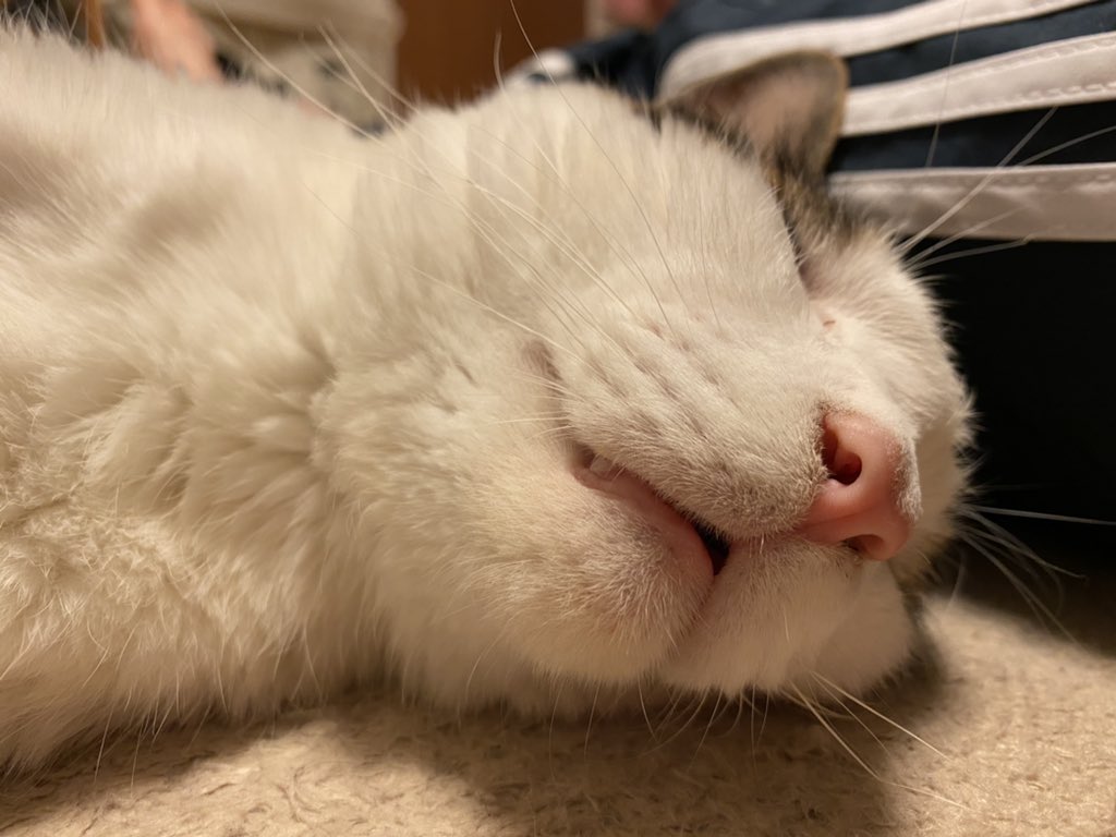 このコンテンツは利用できません Hashtag On Twitter