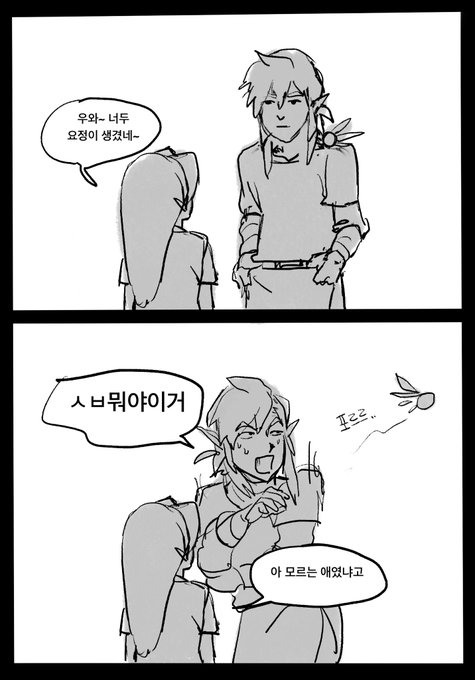 #zelda 
요정 