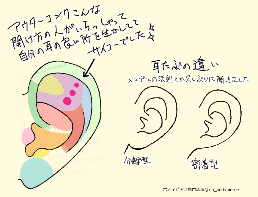 ট ইট র 凛 ボディピアス専門店 端から5ｍｍ という表記の詳細はどこで見たのか失念してしまいました ヘリックスは耳輪に沿って開けるというのも翻訳しながら調べた表記なので 自分の耳の はココ という認識で良いと思います はっきり