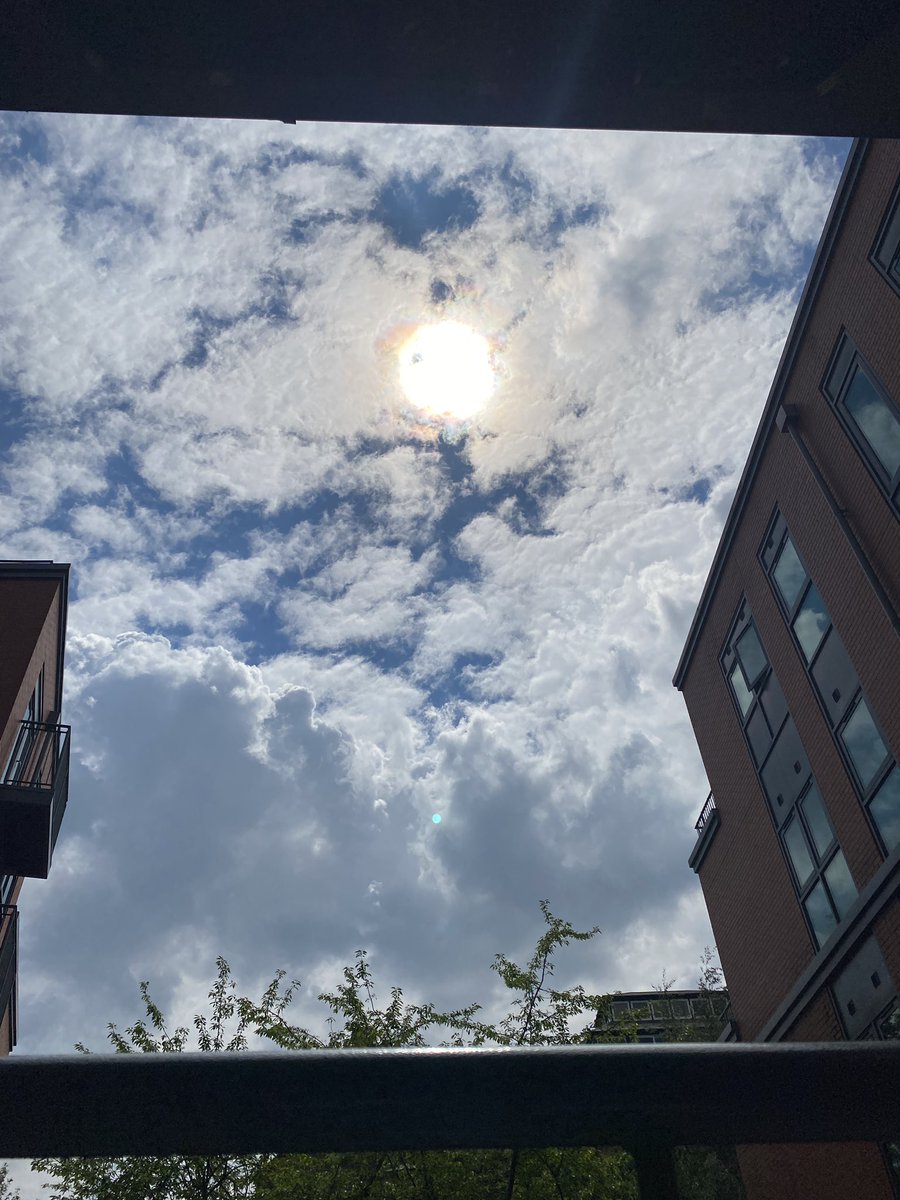 Dreams in Analog tweet media