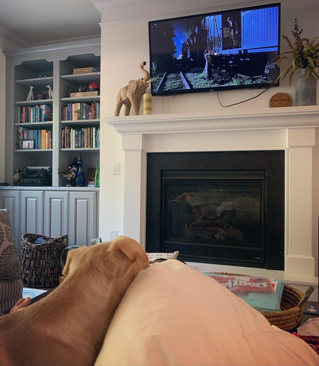 LaytonEWilliams's tweet photo. Introducing Idgie Grace to her namesake. “Cause she’s the best friend I ever had, and I love her.” 🐶🍅🐝✨❤️ 

#towanda #secretsinthesauce #beecharmer #idgiethreadgoode #friedgreentomatoes #idgiegrace #mater https://t.co/9Al5nm9WbI