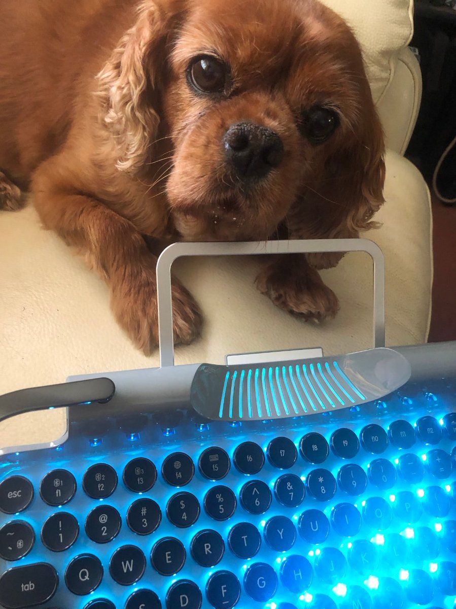 noveliciouss's tweet photo. I ❤️ #writing on my new Rymek #typewriter!
'The mere habit of #writing, of never giving up, ultimately teaches you how to write.'
FIELDING
#Rymek #knewKey #typewriter
#ILoveMyTypewriter #addictedToWriting
https://t.co/aJWFf4BUV3 https://t.co/4IXZJgTxsK