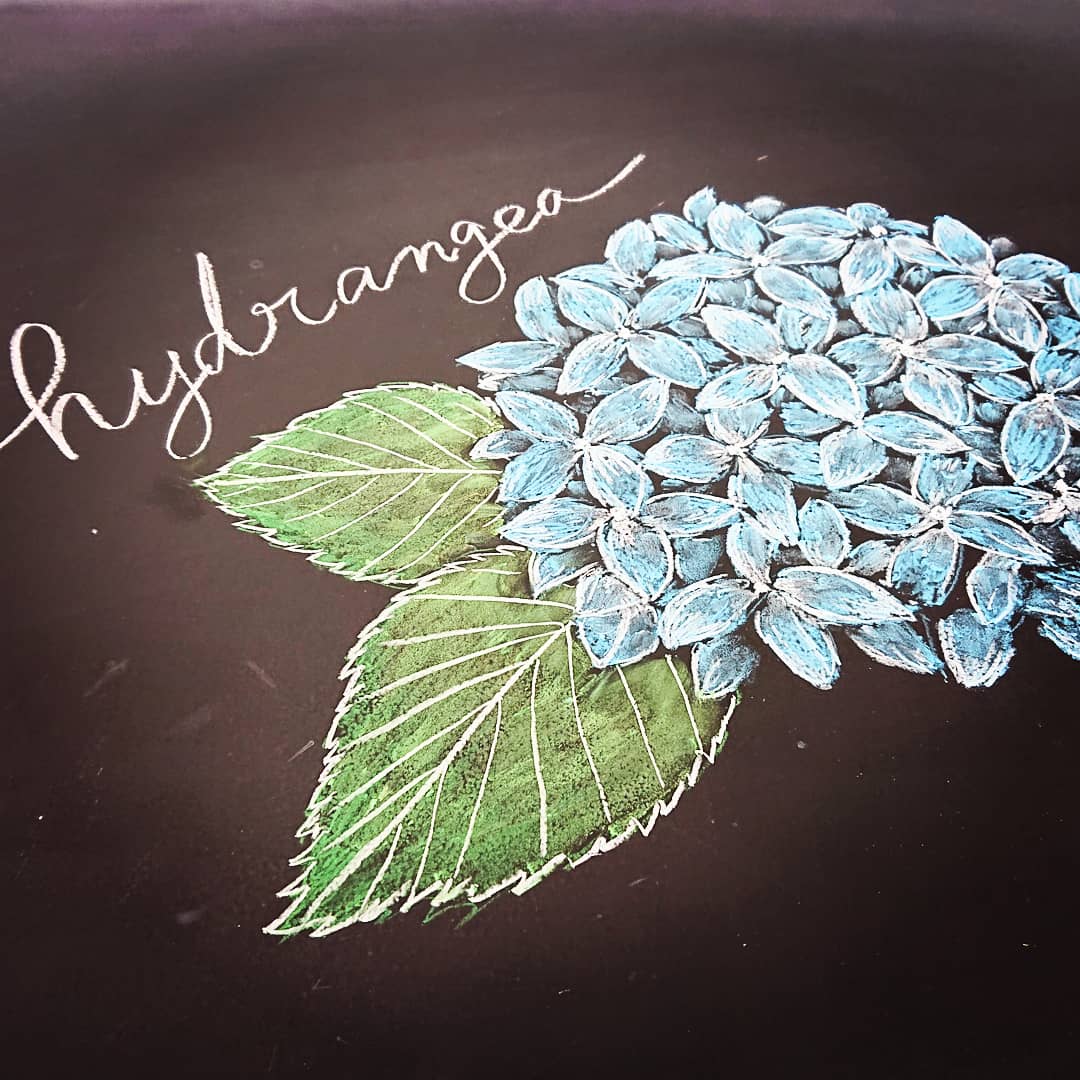 大人黒板 Asami あじさい 花に見える部分は実は がく チョークアート 黒板アートで描くあじさいf イラスト好きな人と繋がりたい 絵描きさんと繋がりたい レタリング 文房具好きと繋がりたい スタバ T Co Kjnsme3nxf Twitter