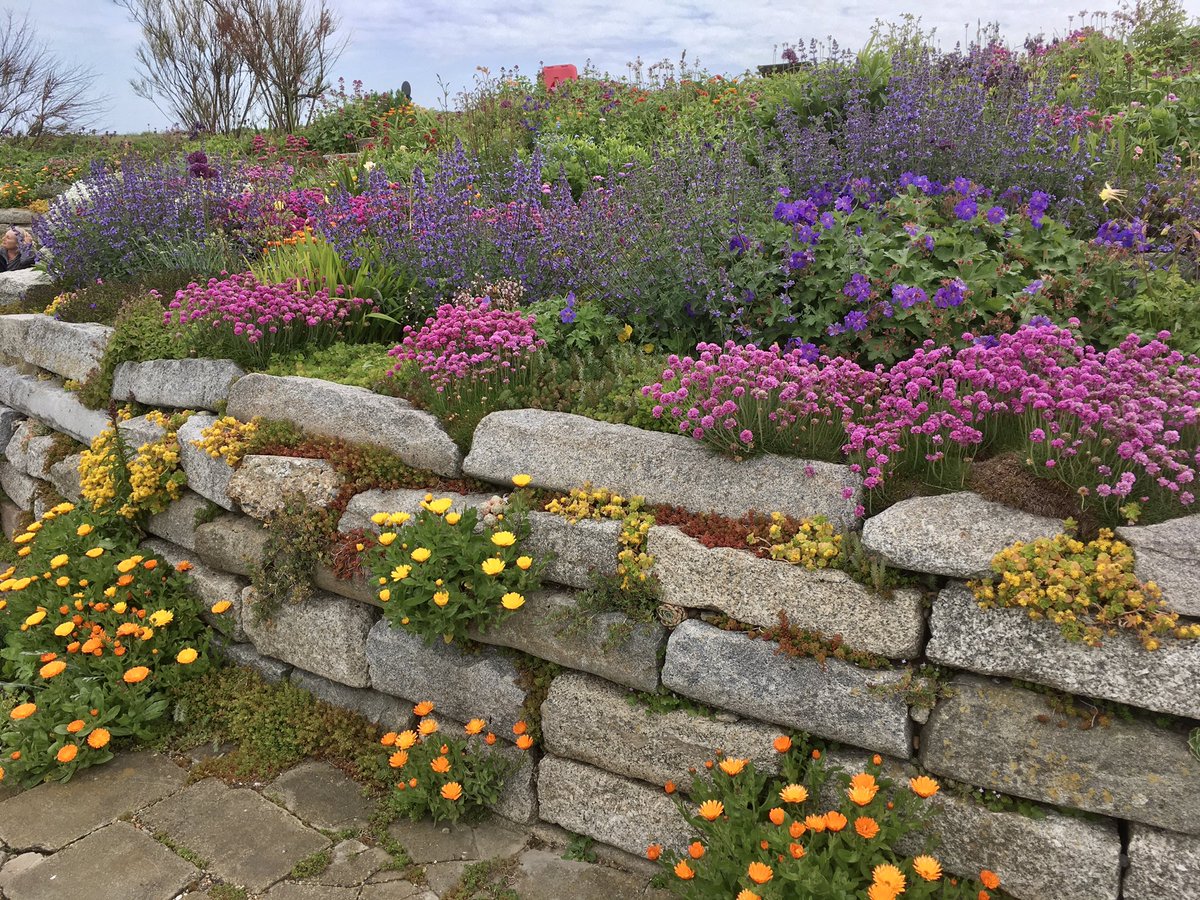 Linda Ford - SCCGG tweet media