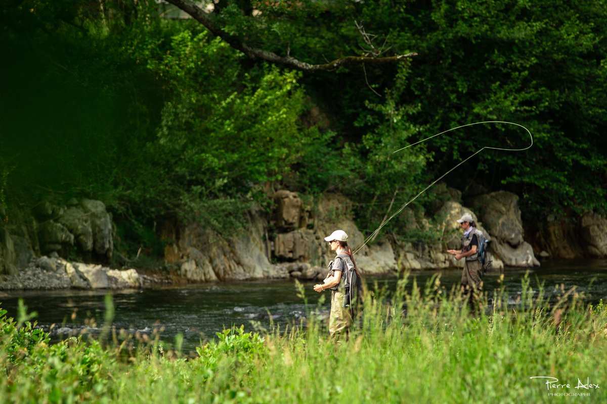 PierreAlex tweet media