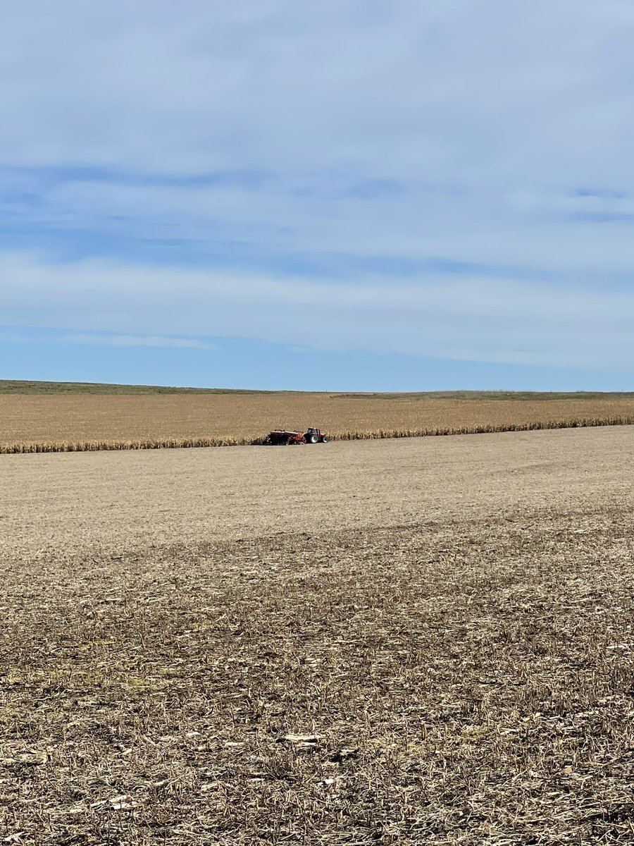 @plataformapuma @Campominado550 @JaquieBecerra @LaPasteleraAgro @Coloniaam550 @JorgelinaTraut @PiluGiraudo @josefinapagani1 En Azul por suerte no! Así deja terminar cosecha y avanzar con la siembra