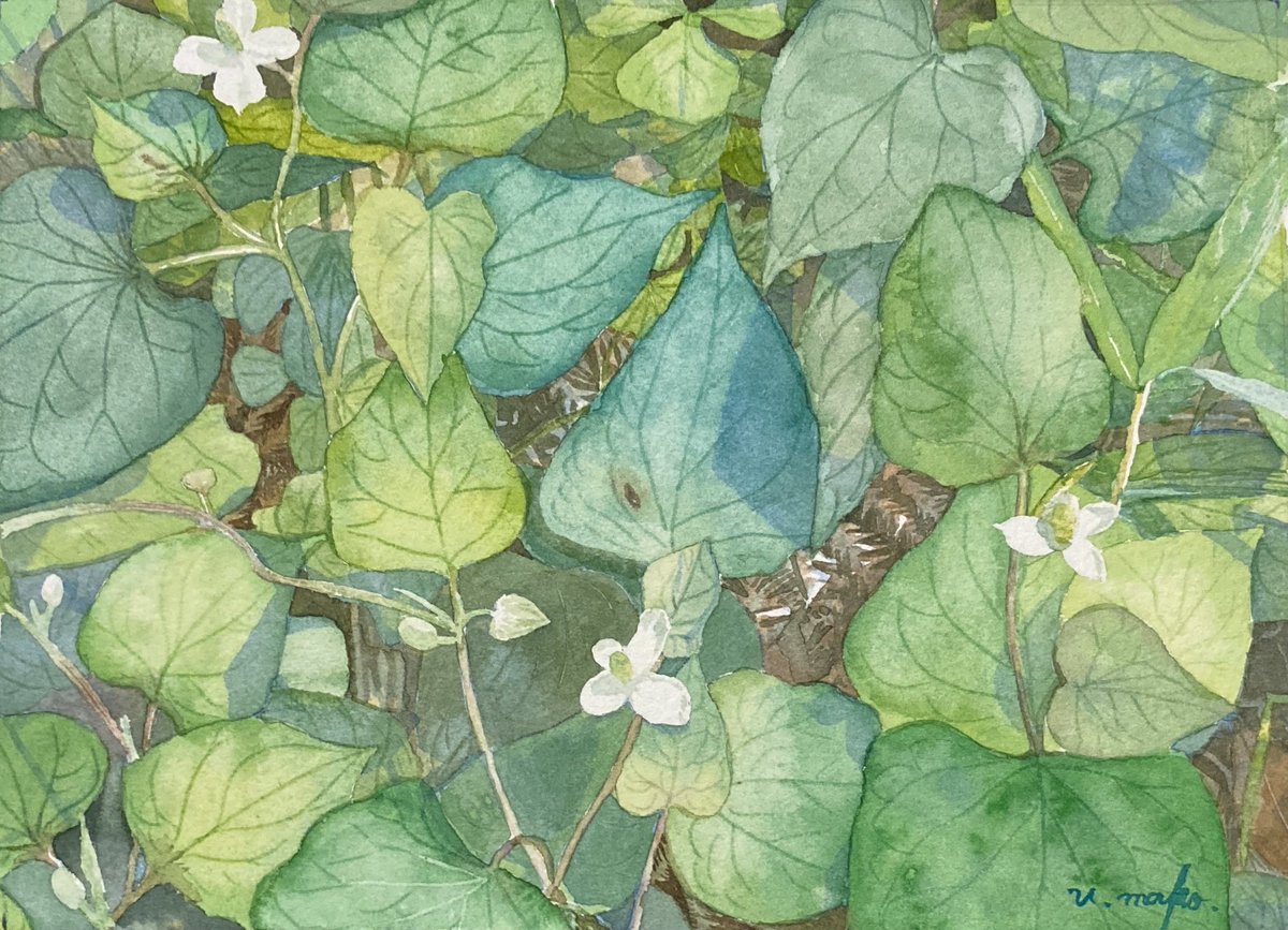 Twoucan ドクダミ の注目ツイート イラスト マンガ コスプレ モデル