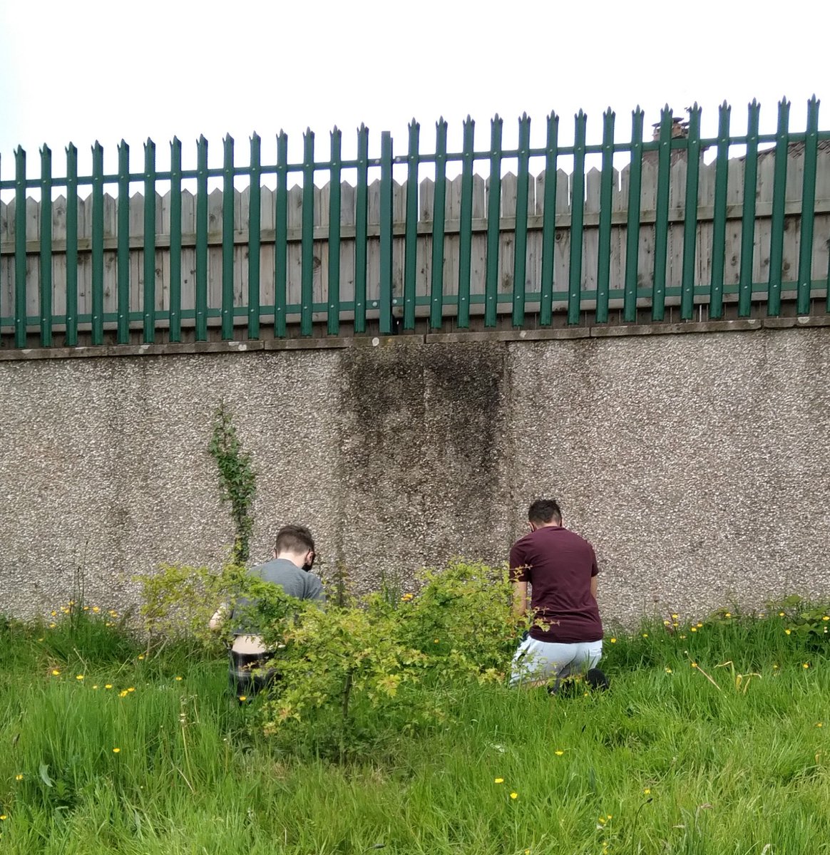 Great morning for our first in person meet up in a long time! Fantastic to see people outside of Zoom. We'd an amazing time learning about Biodiversity and getting dug in with <a href="/greenspacescork/">Green Spaces For Health</a> in Parkowen.
Thanks for having us Maria 🌱🌻🐝