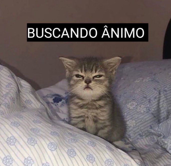 euovitinn's tweet photo. acordei assim https://t.co/evSZrJNkme