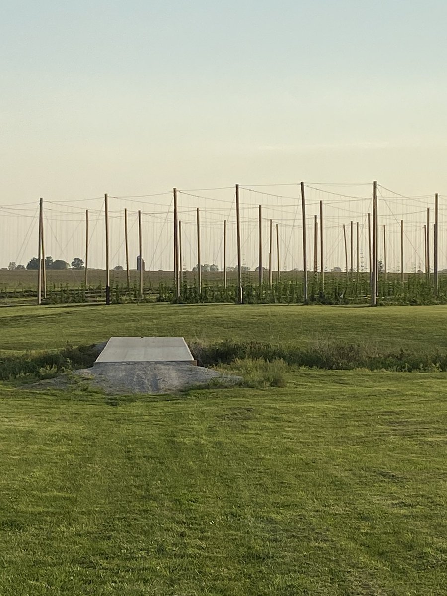 ArcadiaHops's tweet photo. The 2021 Hop Yard Season is off and running! Arcadia Buckeye Hops returns for the season with the following varieties: Cascade, Centennial, Columbus, Comet, Crystal, Glacier, Saaz, and our signature hop Arcadians! Follow us throughout the season for updates. #OhioHops https://t.co/RW7jooWbpf