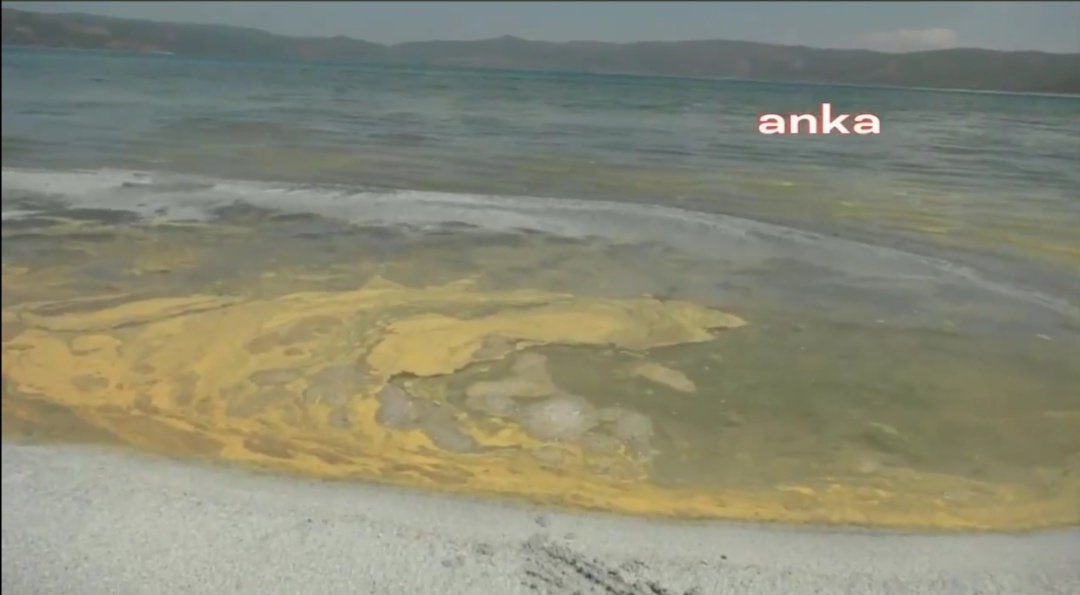 Salda Gölü imara açıldıktan sonra o eski halinden eser kalmamış. Yazık, çok yazık.