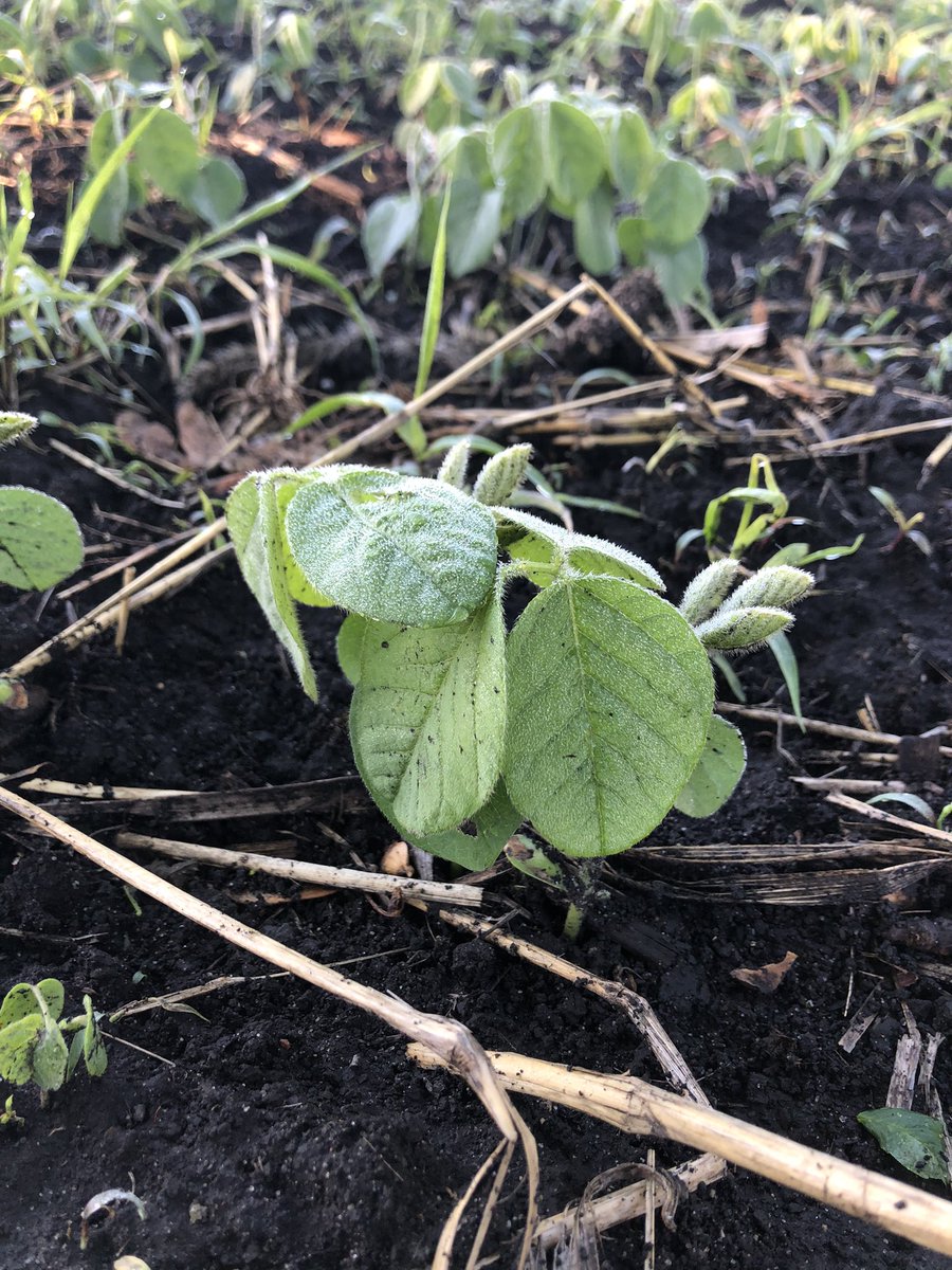 Devon Murray tweet media