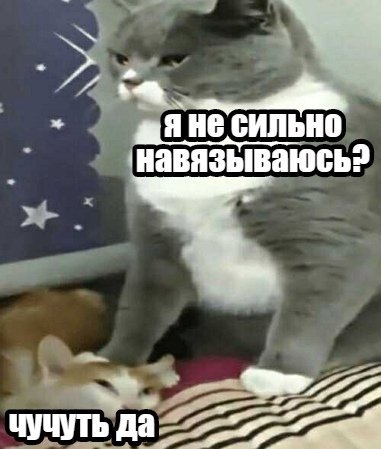 я когда всегда