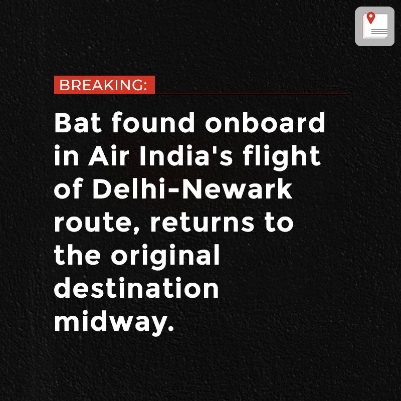 bulletin_eng's tweet photo. A bat takes on Air India's flight to Newark.
.
.
.
.
.
.
.
.
.
.
.
#FeedBulletin #DailyBullets #DailyDigest #24x7Bulletin #TodayBulletin #TrendyBullets #BulletinCards #BulletSynopsis #UPDATE #india #travel #Bat #airindia #tourism #newark https://t.co/vKSbp3aieC