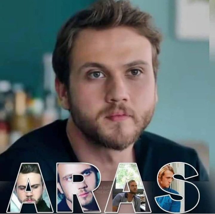 ARAS Bulut America tweet media