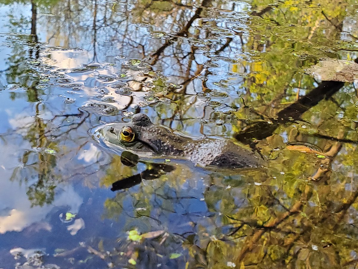 Cope Environmental tweet media