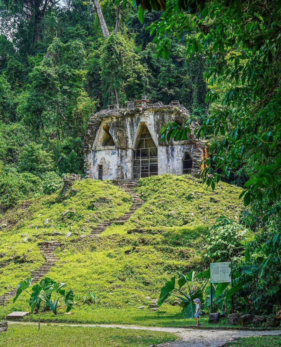 TripscoutApp's tweet photo. Palenque Ruins, Chiapas, Mexico 🇲🇽
via: heyiamnele https://t.co/bBRJzbk1Ih
