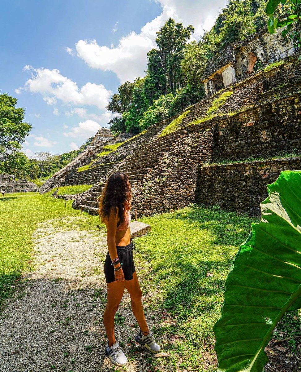 TripscoutApp's tweet photo. Palenque Ruins, Chiapas, Mexico 🇲🇽
via: heyiamnele https://t.co/bBRJzbk1Ih