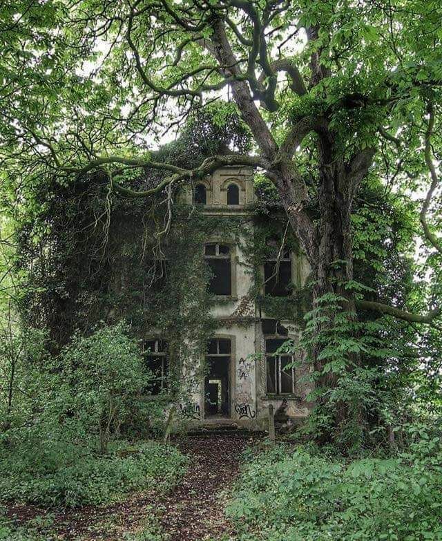 desertedpicx's tweet photo. Abandoned villa in Germany. 🇩🇪 https://t.co/CtR8YW8plW