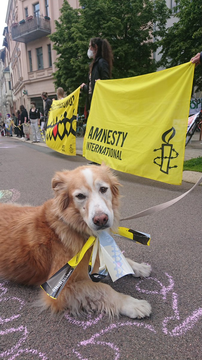 Dieser #Amnesty-Hund hat das #BandderSolidaritaet heute in #Halle um den Hals. #noracism #unteilbar