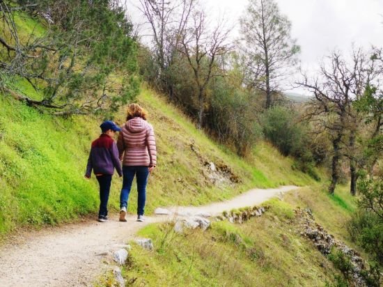 If you're planning on doing any local #outdoor activities like #biking 🚴 or #hiking🚶‍♀️, take the time to make safety a priority. 
Visit our Summer Safety Learning Hub for info on helmet use, plant safety, bug bites and more: aboutkidshealth.ca/summersafety
#Outdoors